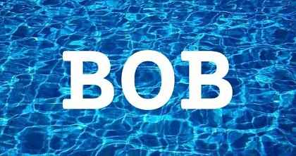 BOB英文名字意義